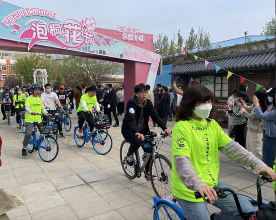 焦点平台：共享单车车篮里开出鲜花 北京亦庄迎来泡桐花盛宴